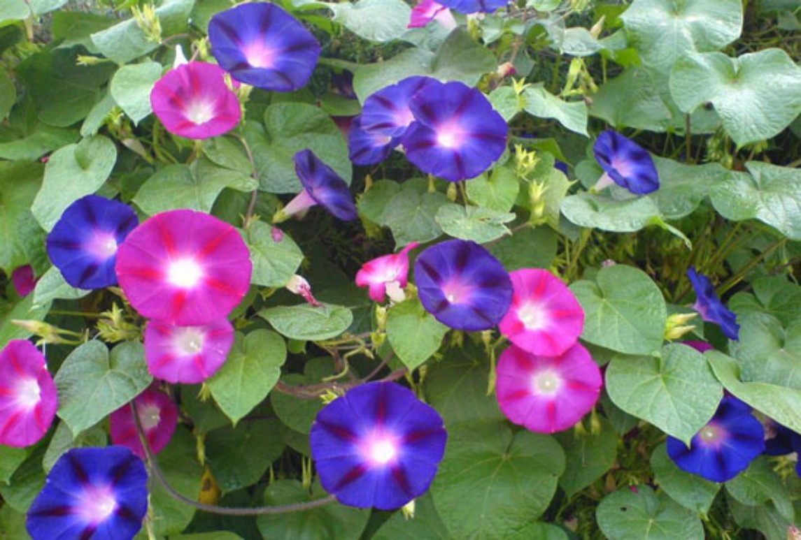 牽?；?></div>
								<p>牽?；?/p>
							</a>
						</li>
												<li>
							<a href=