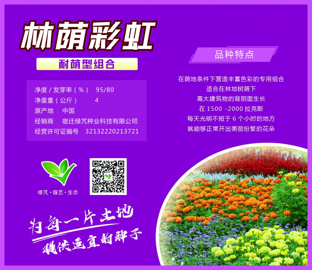林蔭彩紅-耐陰性